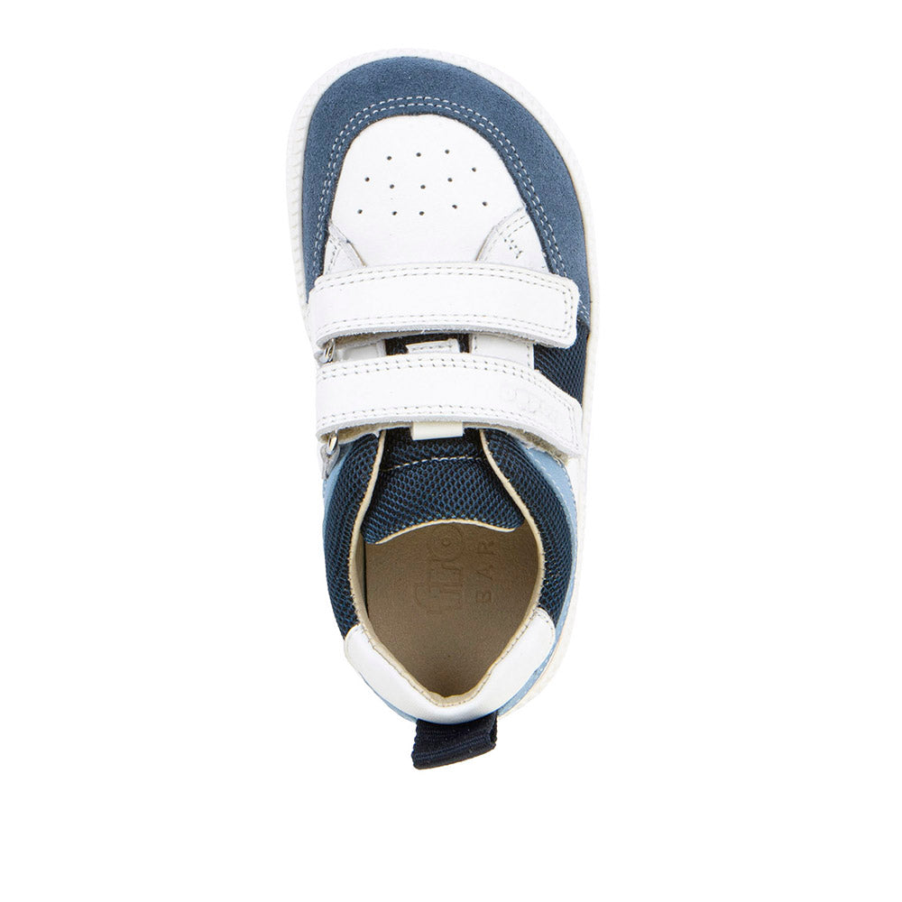 BLUE/WHITE