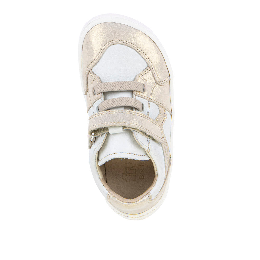WHITE/GOLD