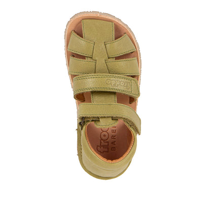 OLIVE