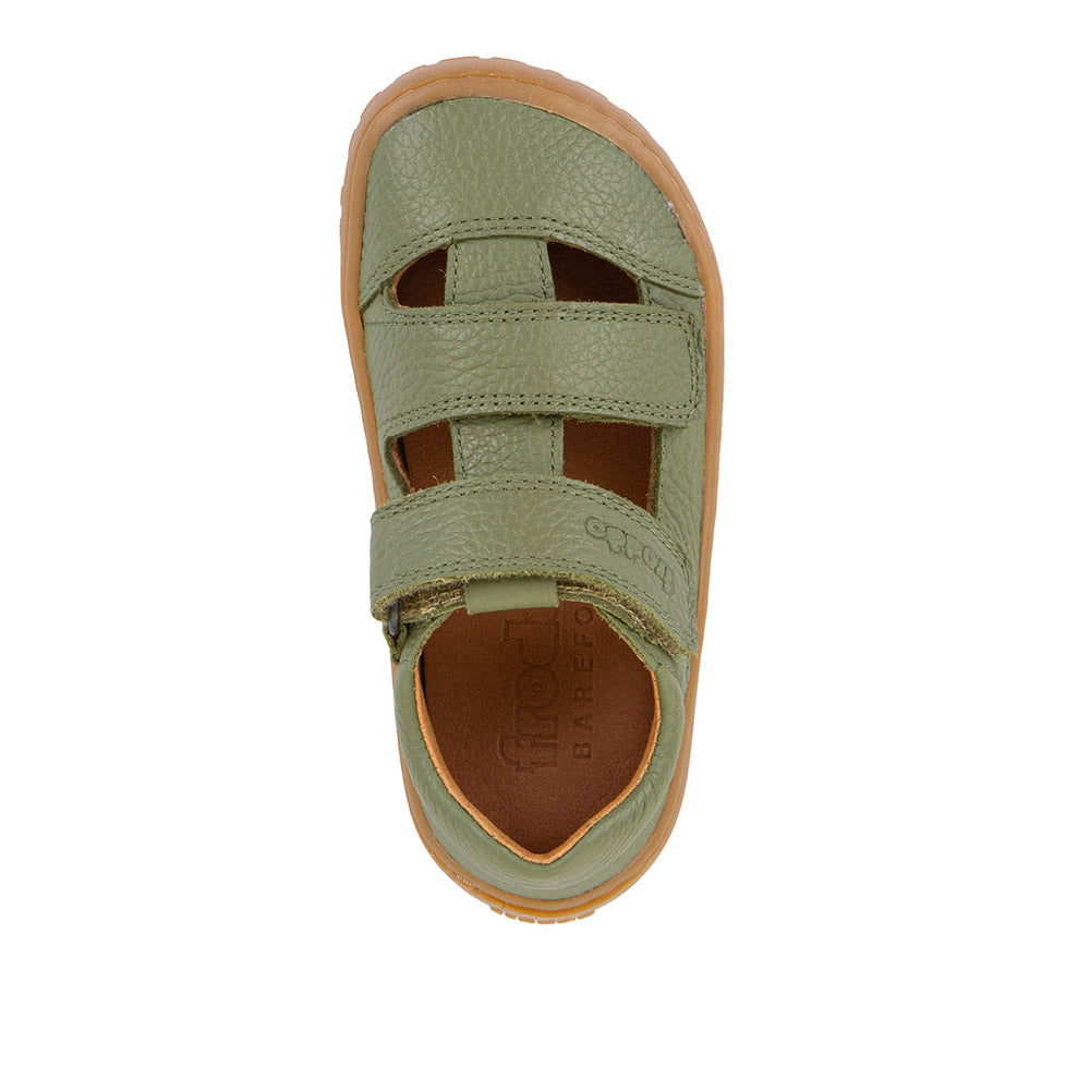 OLIVE